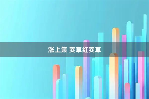 涨上策 茭草红茭草