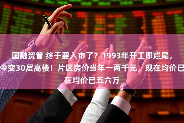 国融资管 终于要入市了？1993年开工即烂尾，别墅如今变30层高楼！片区房价当年一两千元，现在均价已五六万