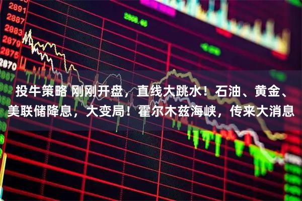 投牛策略 刚刚开盘,直线大跳水!石油、黄金、美联储降息,大变局!霍尔木兹海峡,传来大消息